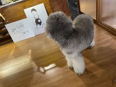 -沏点Trattoria意大利餐厅(新街口店)