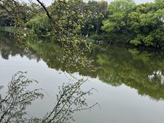 -八卦田遗址公园