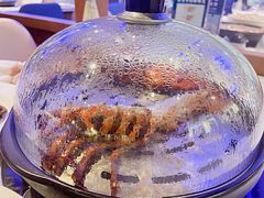 -半岛听涛蒸汽海鲜自助(K11店)