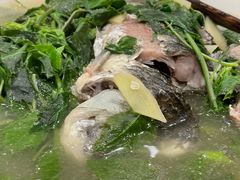 -丰食农家乐