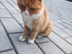 -北京喜剧院