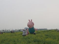 -呼兰河口湿地公园