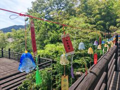 -大唐贡茶院