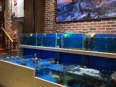 -姜君·千岛湖鱼头馆(浦东大道店)