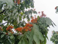 -怡海公园(桂城街道)