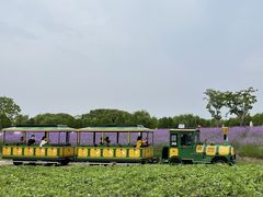 -同里国家湿地公园