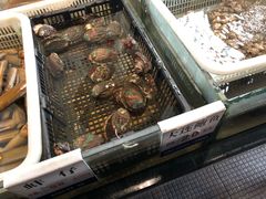 -莆鑫海鲜城(浏河店)