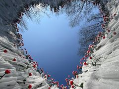 -长春世界雕塑园冰雪艺术天地