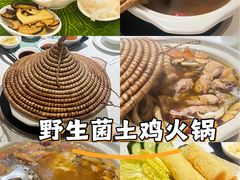 -菌林天下·野生菌汤锅