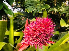 -上海辰山植物园