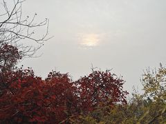 -府君山公园