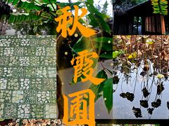 -秋霞圃