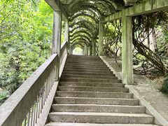 -五泄景区