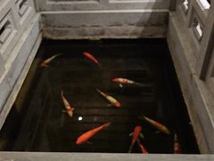 -鲤院·新中式美学·庭院餐厅(夫子庙店)