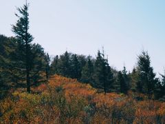 -阳台山自然风景区