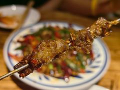 -福苗小骆驼烧烤(莲湖路店)