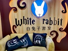 -白兔子密室(长寿路店)