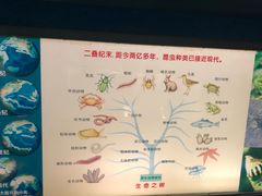 -上海昆虫博物馆