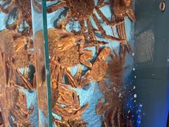 -阿伟海鲜楼·福建菜(延寿店)