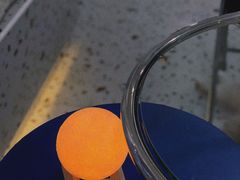 -FULL MOON满月咖啡