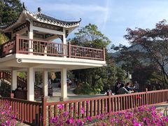 -广州市石门国家森林公园