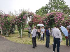 -尚贤河湿地