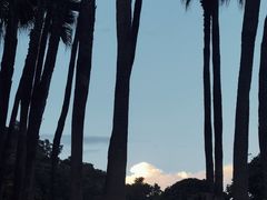 -红花山公园