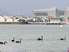 -琅岐红光湖公园