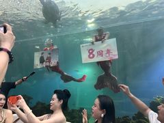 -海棠湾洲际-涛·海底餐厅·美人鱼·自助餐·海底隧道