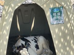 -君乐宝优致牧场