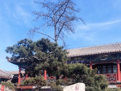 -山海关风景区-售票处