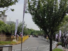 -嘉定紫藤园