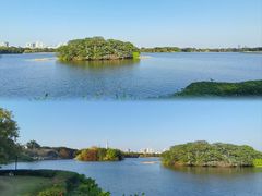 -海珠湖公园