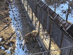 -石家庄市动物园