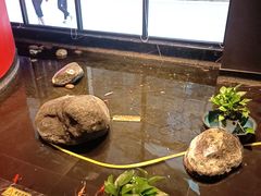-青螺餐厅·家宴(松雅湖店)
