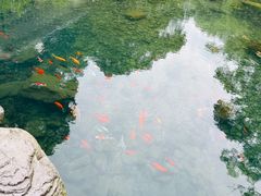 -雁荡山风景名胜区