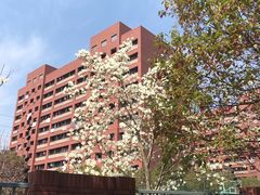-关西国际机场直营免税店