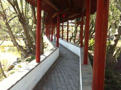 -上海醉白池公园