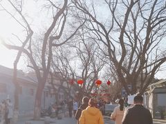 -北京国子监胡同