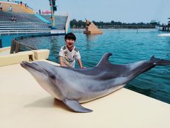 -秦皇岛乐岛海洋王国