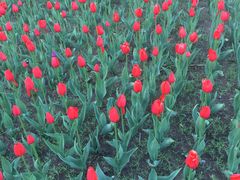 -长春公园(普阳街道)