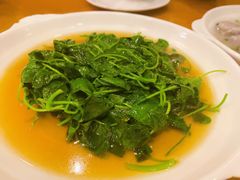 -牧羊餐厅