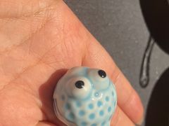 -肆月河豚·淮扬菜·湘菜(华天店)