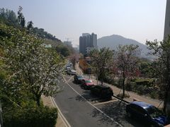 -小南山公园