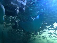 -常州海昌海洋探索馆