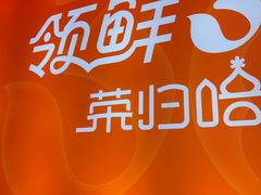 -东方饺子王(新阳路店)