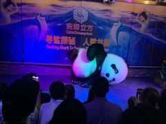 -成都浩海立方海洋公园