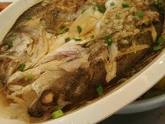 -沽源味道蒙餐莜面家常菜