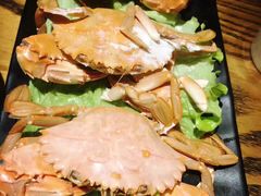 -邵年鸽(杨庄店)