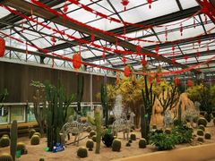 -南宫五洲植物乐园